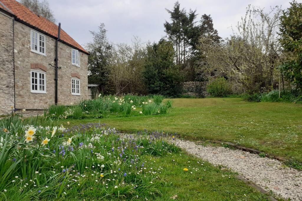 Characterful Cottage Adjacent To An Orchard Brockley 外观 照片